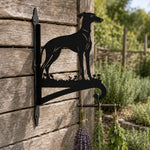 Greyhound metal hanging basket bracket mounted on outdoor wall for plant decoration