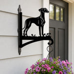 Greyhound metal hanging basket bracket mounted on outdoor wall for plant decoration