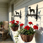 Greyhound metal hanging basket bracket mounted on outdoor wall for plant decoration
