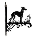 Greyhound metal hanging basket bracket mounted on outdoor wall for plant decoration