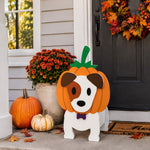Halloween Jack Russell Terrier Dog Planter filled with fresh flowers is placed in the garden