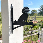 Havanese metal hanging basket bracket mounted on outdoor wall for plant decoration