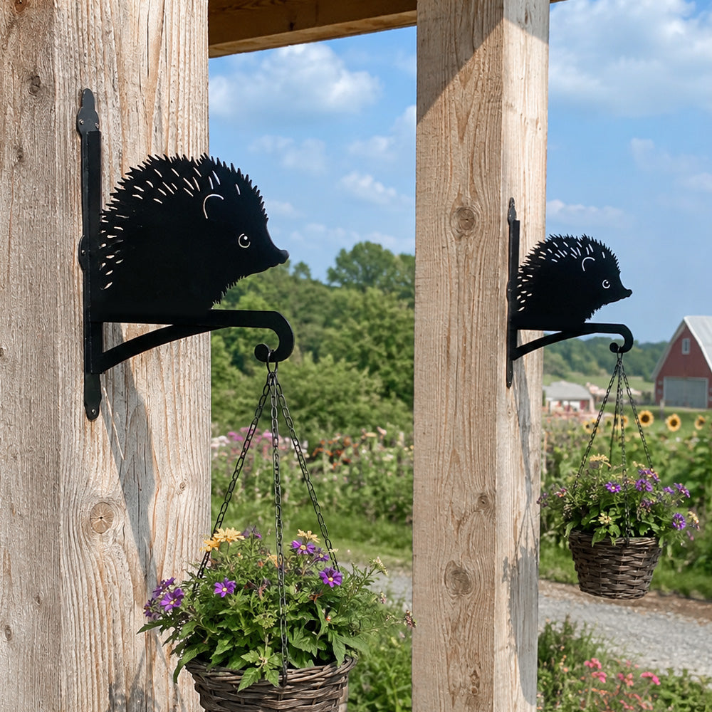 Hedgehog metal hanging basket bracket mounted on outdoor wall for plant decoration
