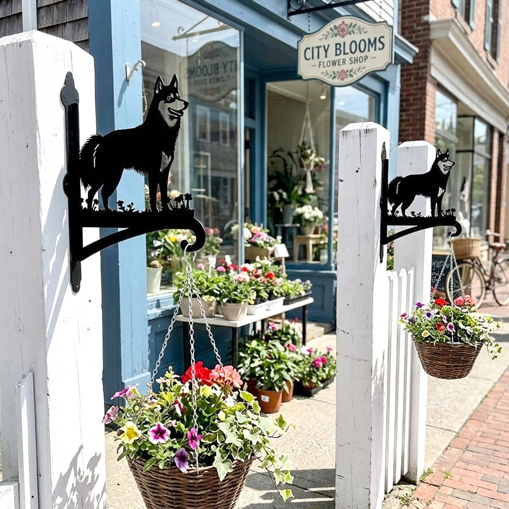 Husky metal hanging basket bracket mounted on outdoor wall for plant decoration