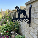 Irish wolfhound metal hanging basket bracket mounted on outdoor wall for plant decoration