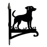 Jack russell terrier metal hanging basket bracket mounted on outdoor wall for plant decoration