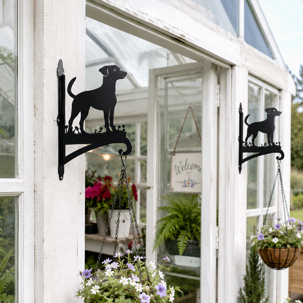 Jack russell terrier metal hanging basket bracket mounted on outdoor wall for plant decoration