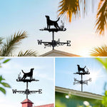Labrador retriever metal weather vane with directional arrows and mounting rod, outdoor roof and garden decoration