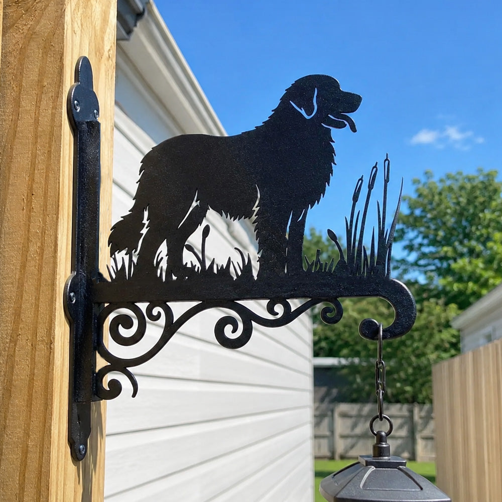 Leonberger metal hanging basket bracket mounted on outdoor wall for plant decoration