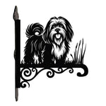 Lhasa apso metal hanging basket bracket mounted on outdoor wall for plant decoration