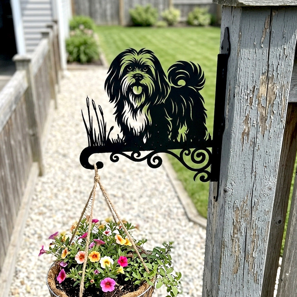 Lhasa apso metal hanging basket bracket mounted on outdoor wall for plant decoration
