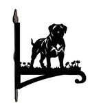 Mastiff metal hanging basket bracket mounted on outdoor wall for plant decoration