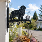 Newfoundland metal hanging basket bracket mounted on outdoor wall for plant decoration