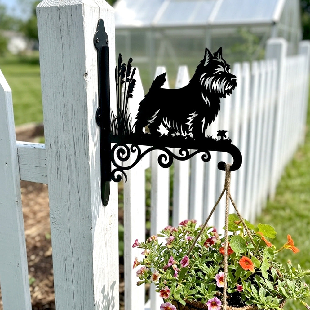 Norwich terrier metal hanging basket bracket mounted on outdoor wall for plant decoration