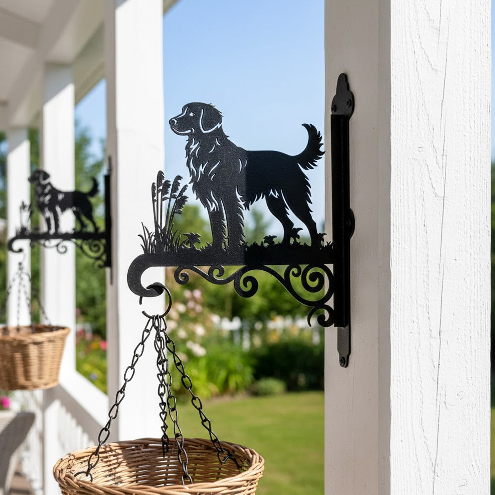 Nova scotia duck tolling retriever metal hanging basket bracket mounted on outdoor wall for plant decoration