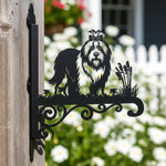 Old english sheepdog metal hanging basket bracket mounted on outdoor wall for plant decoration