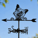 Papillon metal weather vane with directional arrows and mounting rod, outdoor roof and garden decoration