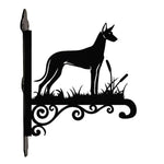 Pharaoh hound metal hanging basket bracket mounted on outdoor wall for plant decoration