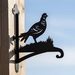 Pheasant bird metal hanging basket bracket mounted on outdoor wall for plant decoration