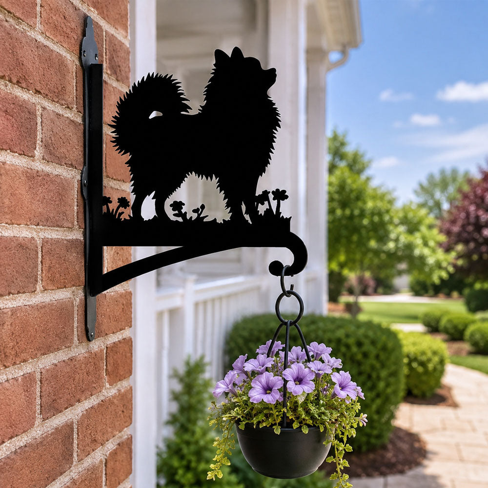 Pomeranian metal hanging basket bracket mounted on outdoor wall for plant decoration