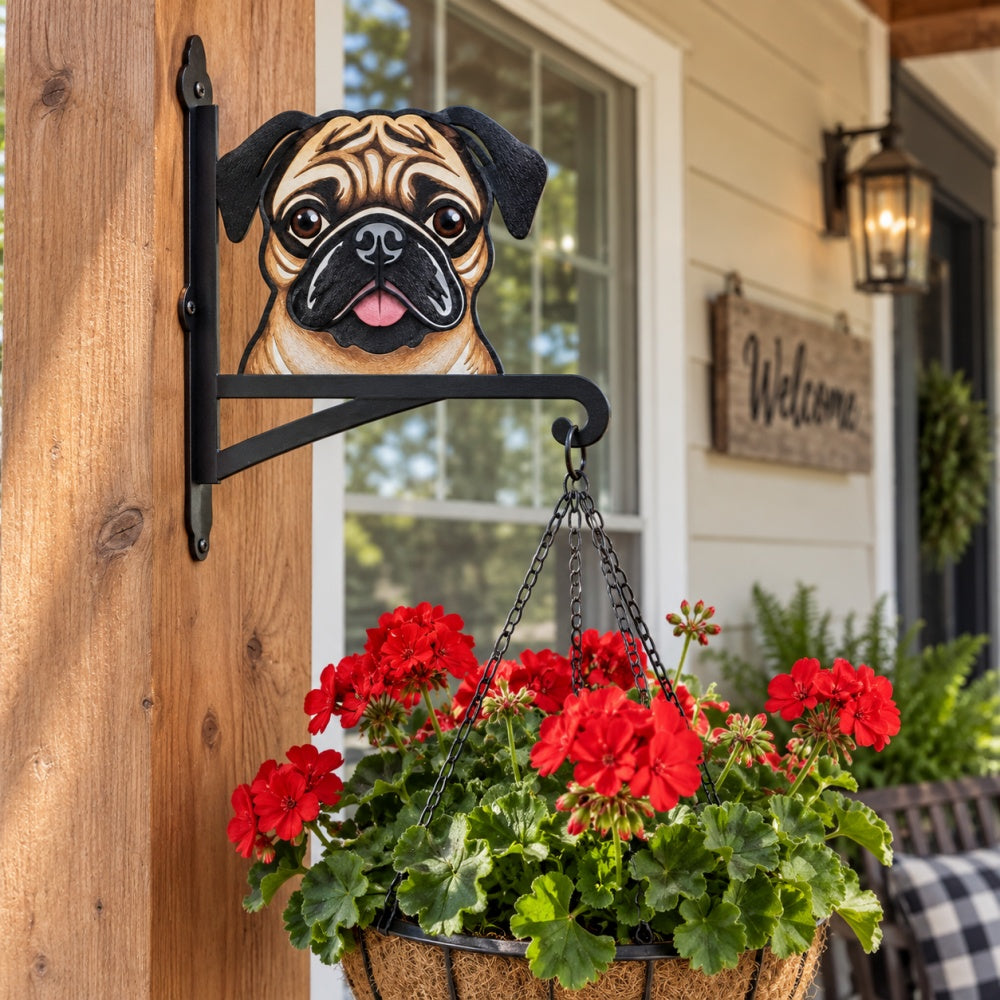 Pug metal hanging basket bracket mounted on outdoor wall for plant decoration