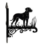 Rhodesian ridgeback metal hanging basket bracket mounted on outdoor wall for plant decoration