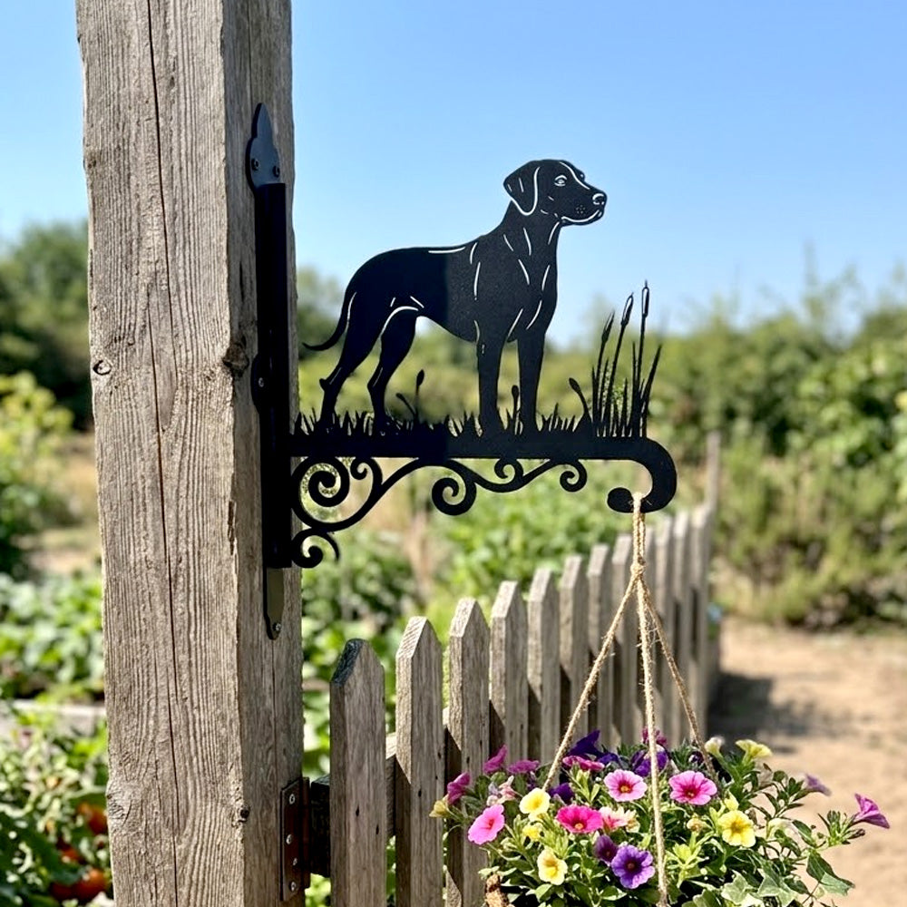Rhodesian ridgeback metal hanging basket bracket mounted on outdoor wall for plant decoration