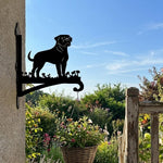 Rottweiler metal hanging basket bracket mounted on outdoor wall for plant decoration