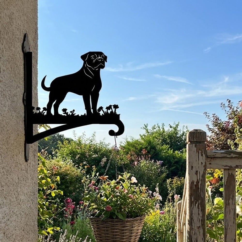 Rottweiler metal hanging basket bracket mounted on outdoor wall for plant decoration