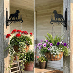 Rottweiler metal hanging basket bracket mounted on outdoor wall for plant decoration