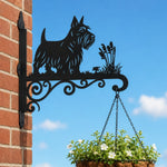 Scottish terrier metal hanging basket bracket mounted on outdoor wall for plant decoration