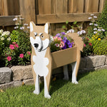 Shiba Inu dog planter filled with fresh flowers is placed in the garden