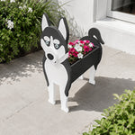Siberian Husky dog planter filled with fresh flowers is placed in the garden