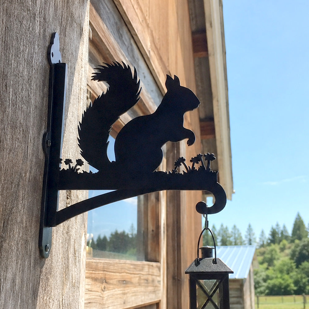 Squirrel metal hanging basket bracket mounted on outdoor wall for plant decoration