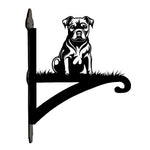 Staffordshire bull terrier metal hanging basket bracket mounted on outdoor wall for plant decoration