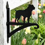 Staffordshire bull terrier metal hanging basket bracket mounted on outdoor wall for plant decoration