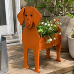 Vizsla dog planter filled with fresh flowers is placed in the garden
