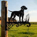 Vizsla metal hanging basket bracket mounted on outdoor wall for plant decoration