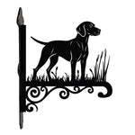 Vizsla metal hanging basket bracket mounted on outdoor wall for plant decoration
