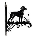 Weimaraner metal hanging basket bracket mounted on outdoor wall for plant decoration