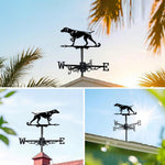 Weimaraner metal weather vane with directional arrows and mounting rod, outdoor roof and garden decoration