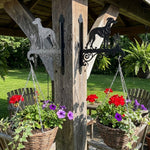 Whippet metal hanging basket bracket mounted on outdoor wall for plant decoration