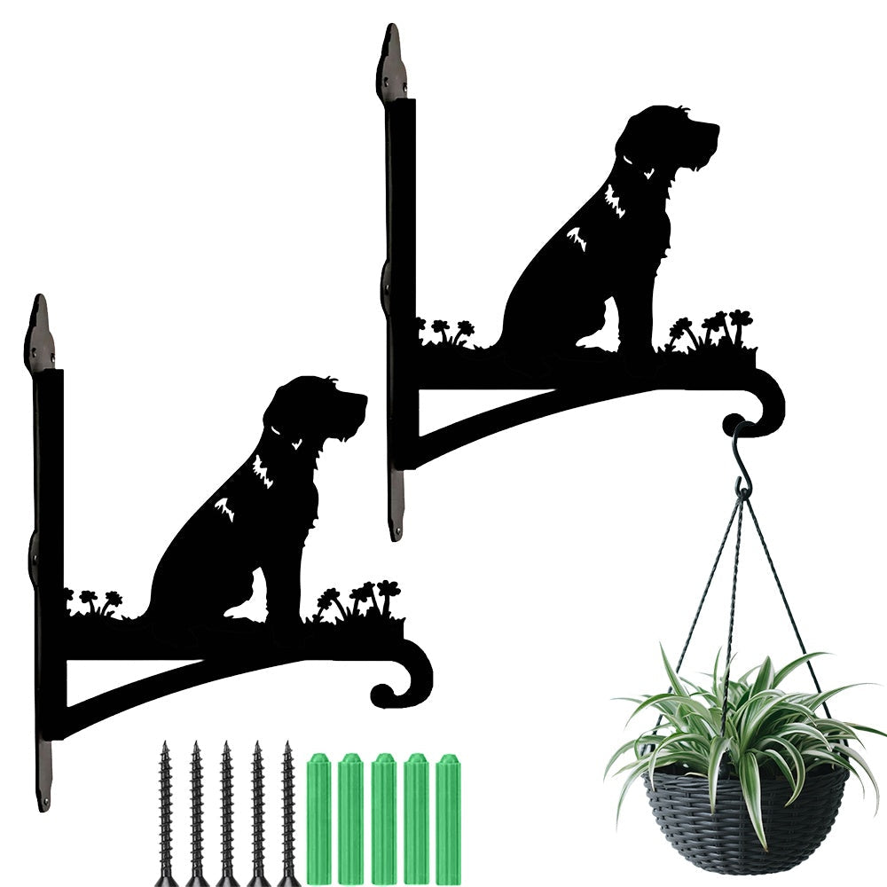 Wirehaired dog metal hanging basket bracket mounted on outdoor wall for plant decoration