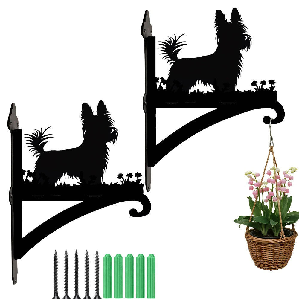 Yorkshire terrier metal hanging basket bracket mounted on outdoor wall for plant decoration