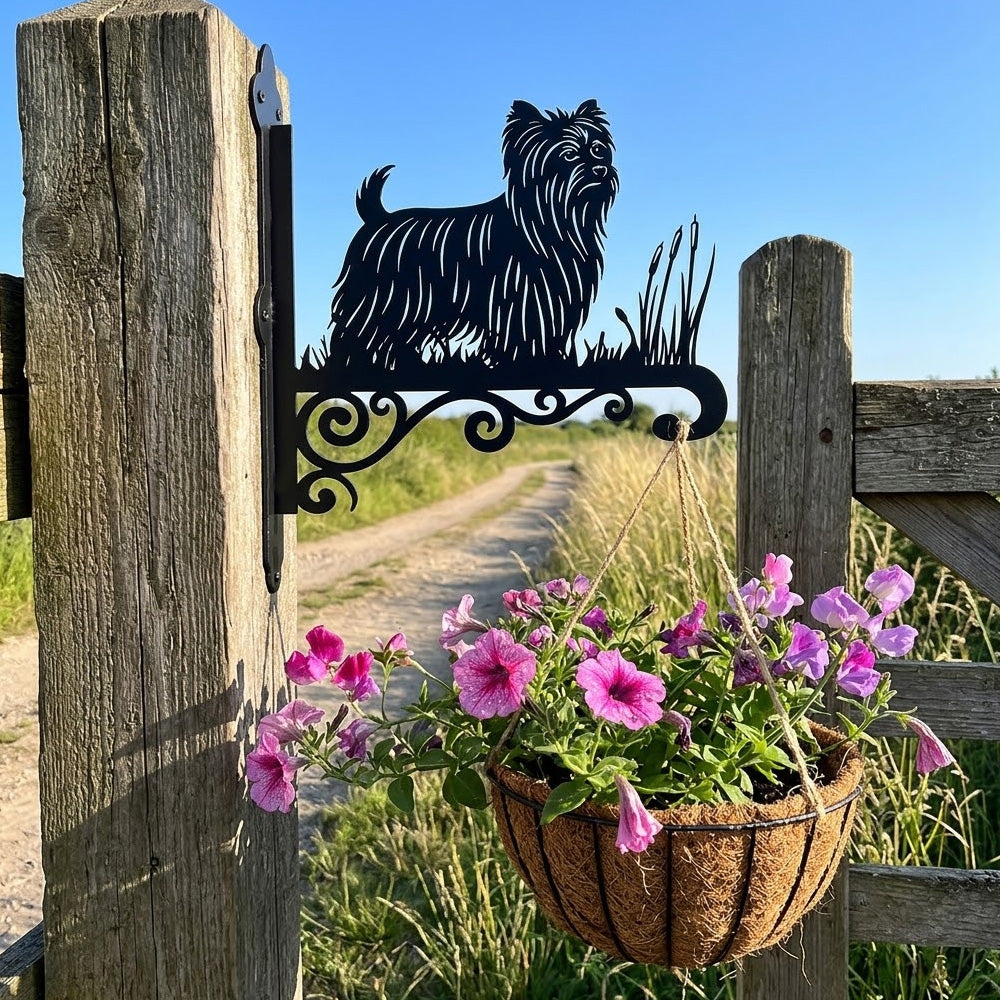 Yorkshire terrier metal hanging basket bracket mounted on outdoor wall for plant decoration
