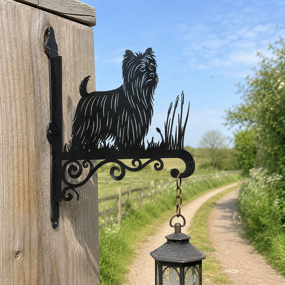 Yorkshire terrier metal hanging basket bracket mounted on outdoor wall for plant decoration