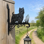 Yorkshire terrier metal hanging basket bracket mounted on outdoor wall for plant decoration
